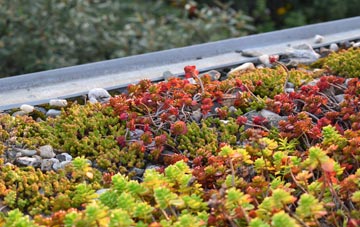 the cost of Tolworth green roof installation
