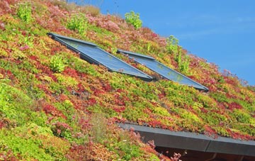 Tolworth living roof systems
