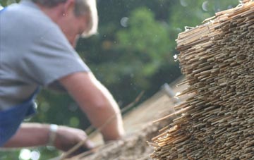 professional Tolworth thatchers