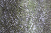 Tolworth fibreglass roof work